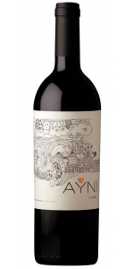 Ayni Malbec 2020 (magnum)